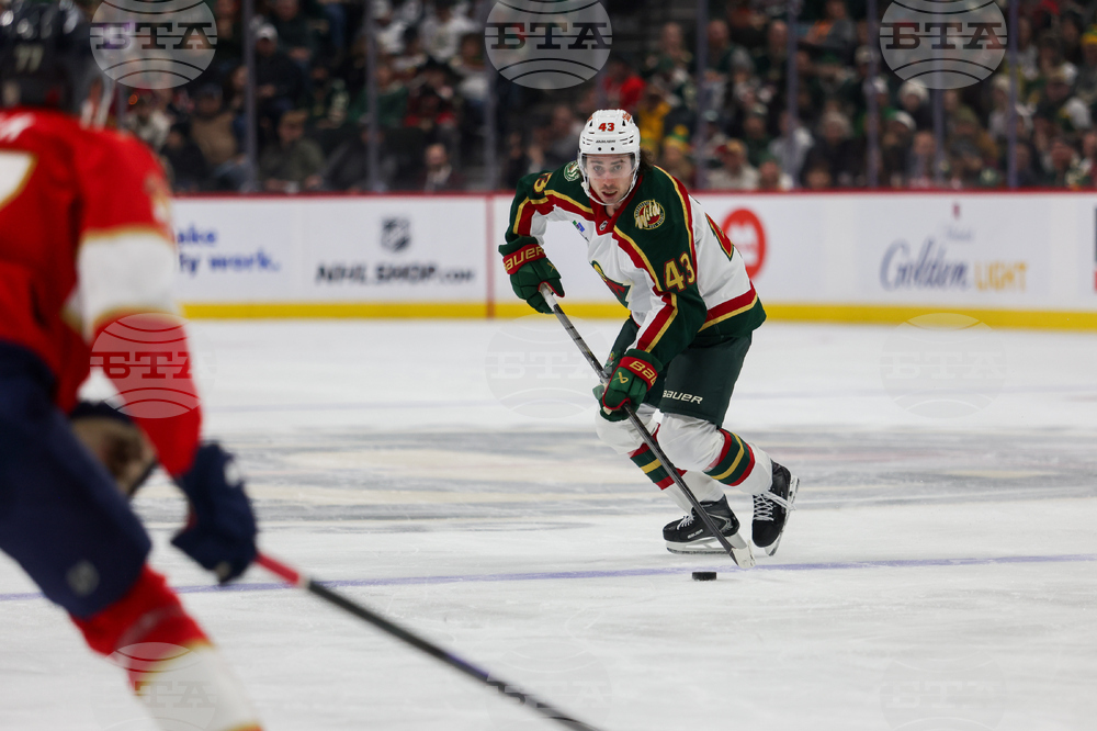 Wild Panthers Hockey