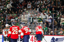 Wild Panthers Hockey