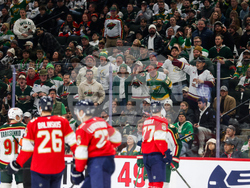 Wild Panthers Hockey