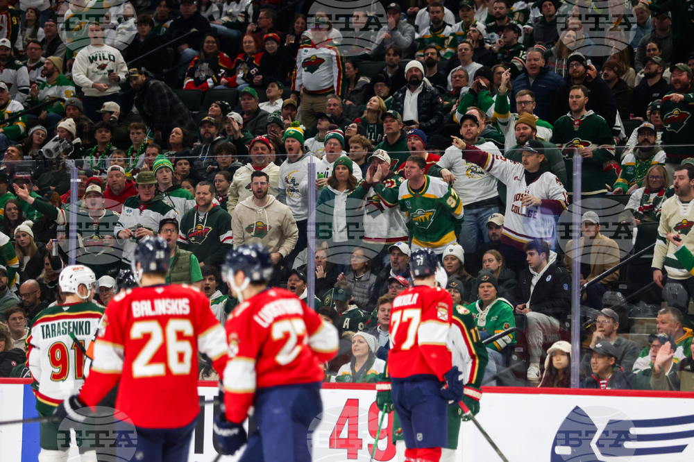 Wild Panthers Hockey