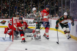 Wild Panthers Hockey