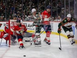 Wild Panthers Hockey