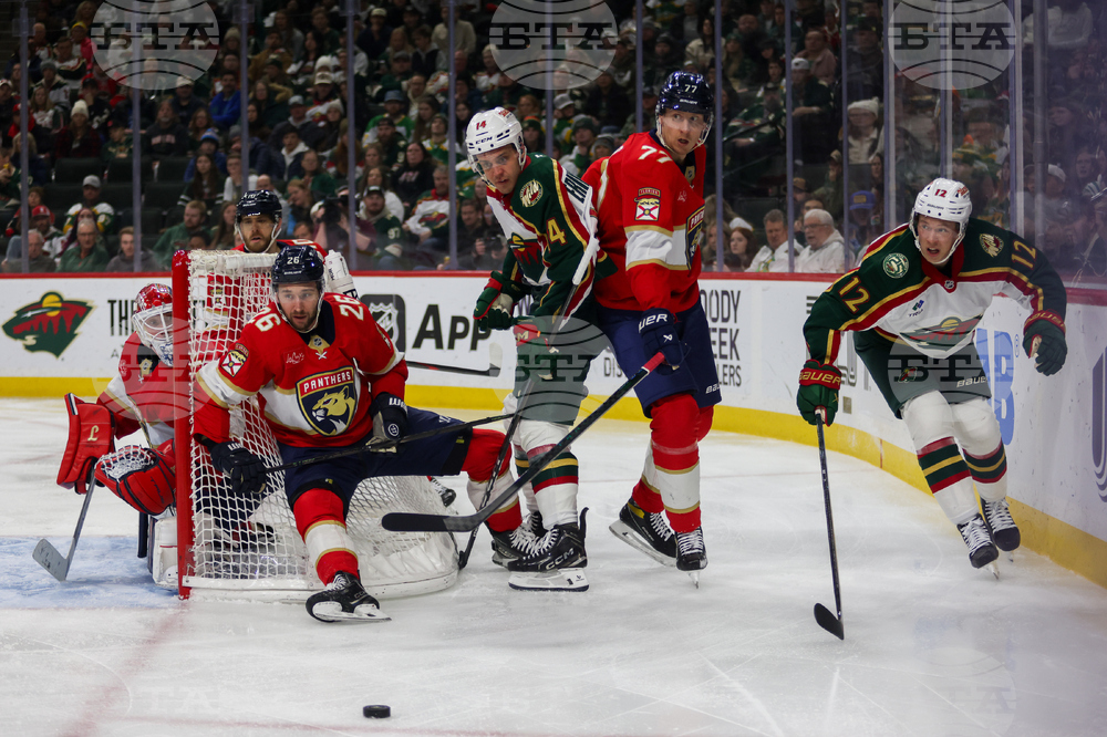 Wild Panthers Hockey