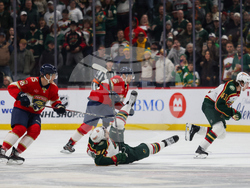 Wild Panthers Hockey