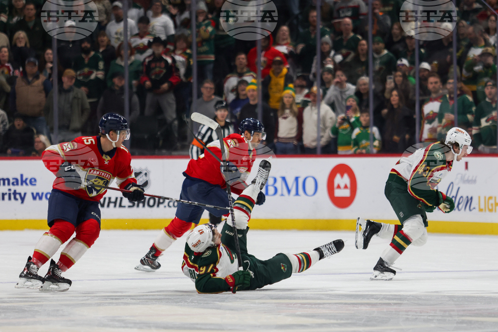 Wild Panthers Hockey