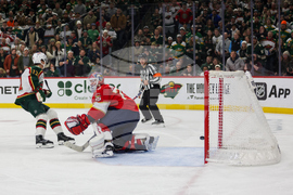 Wild Panthers Hockey