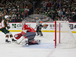 Wild Panthers Hockey