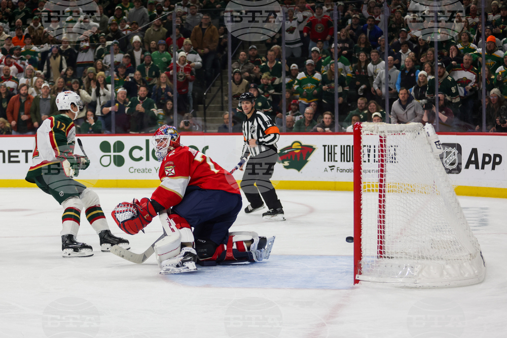 Wild Panthers Hockey