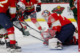 Wild Panthers Hockey