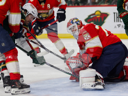 Wild Panthers Hockey