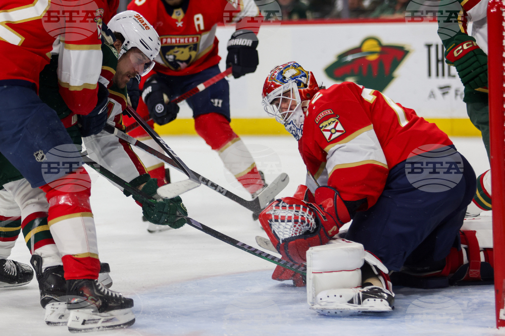 Wild Panthers Hockey