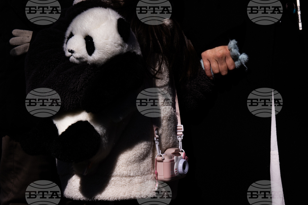 Japan China Pandas