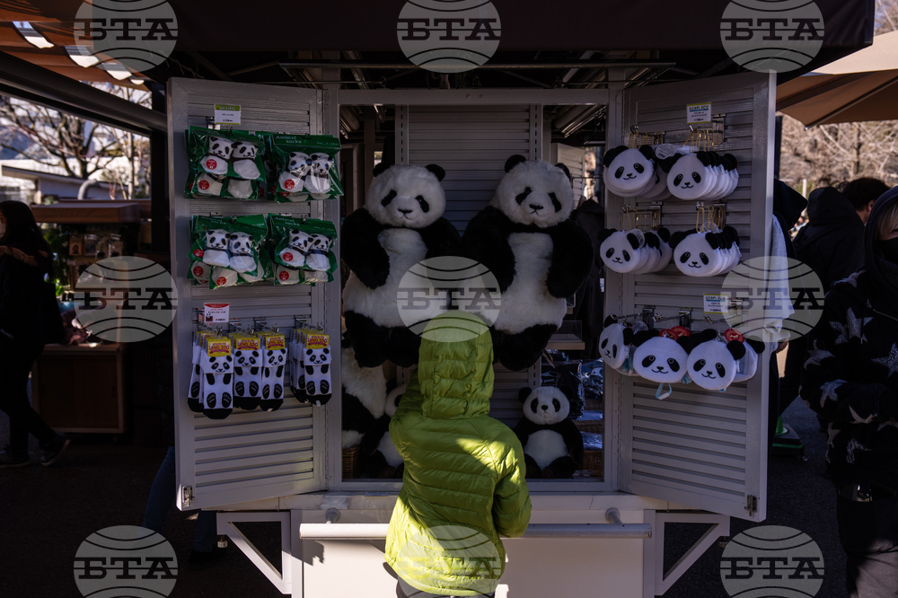 Japan China Pandas