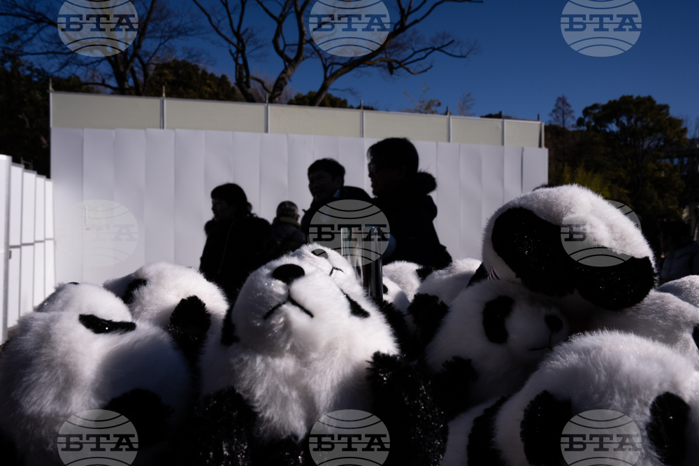 Japan China Pandas