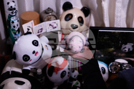 Japan China Panda
