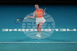 Australian Open Tennis