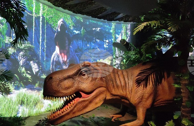 Пловдив - Регионален природонаучен музей - „Динозаври" - обновена зала