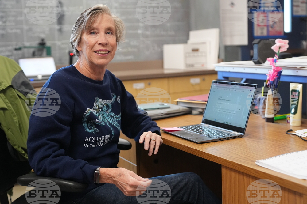 Polling AI In the Workspace