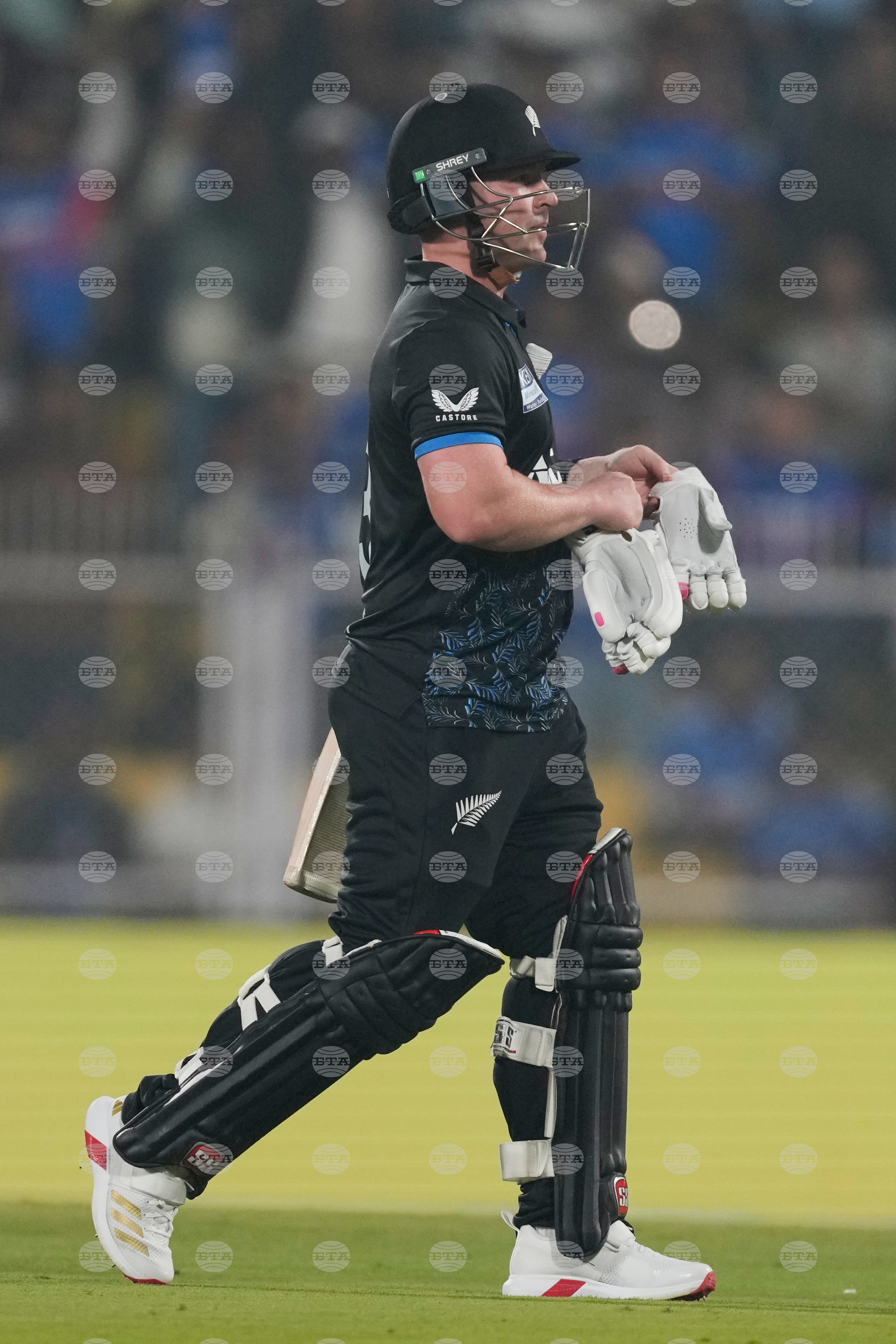 India New Zealand Cricket