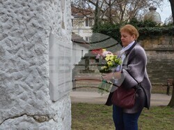 Снимка: Община Видин