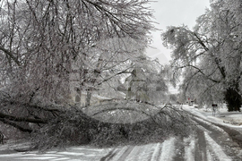 Winter Weather Tennessee