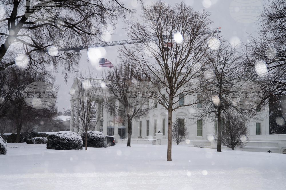 Winter Weather White House