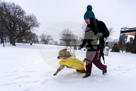 Winter Weather Virginia