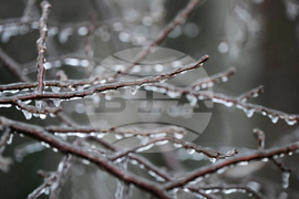 Winter Weather Georgia