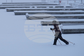 Winter Weather Chicago