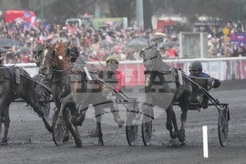 France Prix d'Amerique Horse Race