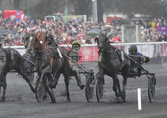 France Prix d'Amerique Horse Race