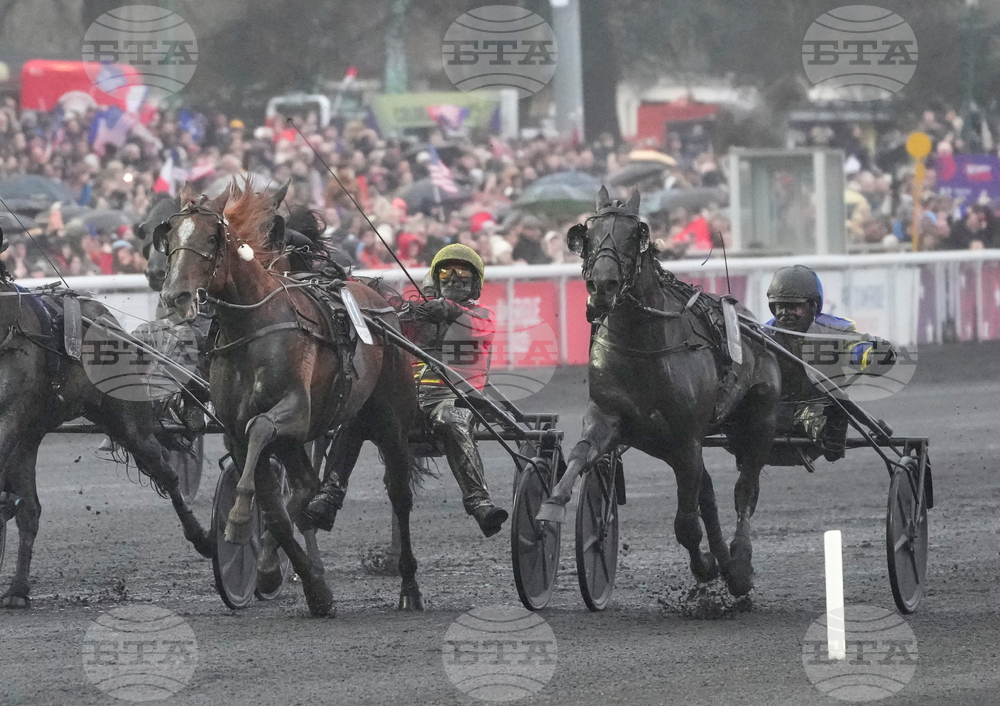 France Prix d'Amerique Horse Race