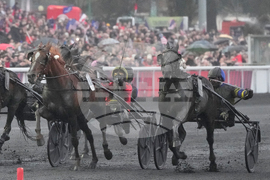 France Prix d'Amerique Horse Race