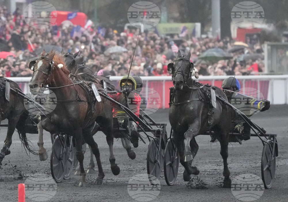 France Prix d'Amerique Horse Race