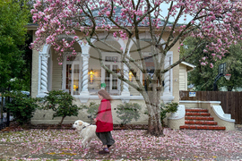 Winter Weather New Orleans