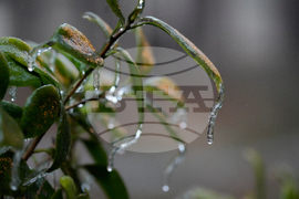 Winter Weather Georgia