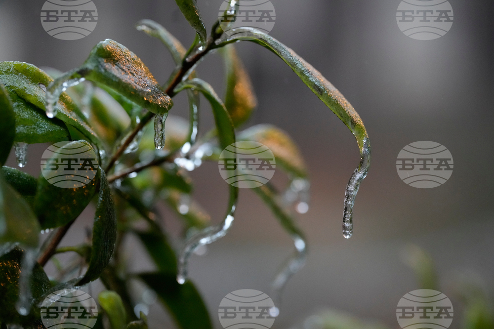 Winter Weather Georgia