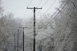 Winter Weather Tennessee