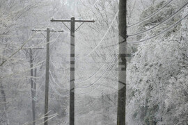 Winter Weather Tennessee