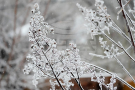 Winter Weather Tennessee