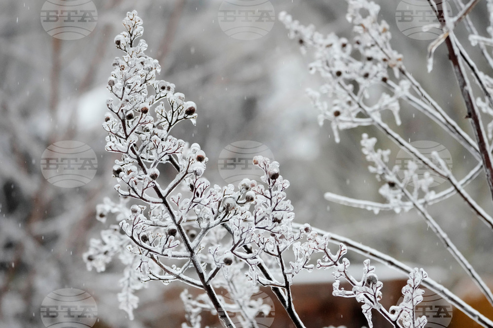 Winter Weather Tennessee