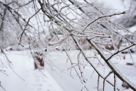 Winter Weather Tennessee