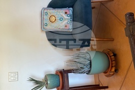 Gardening-Indoor Desert