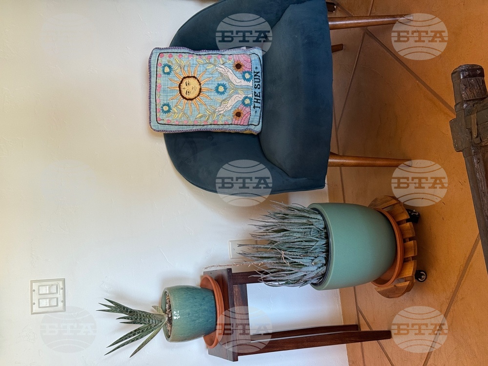 Gardening-Indoor Desert