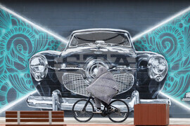 Winter Weather Texas