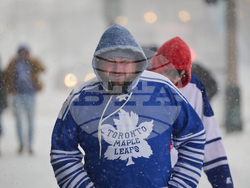 Avalanche Maple Leafs Hockey