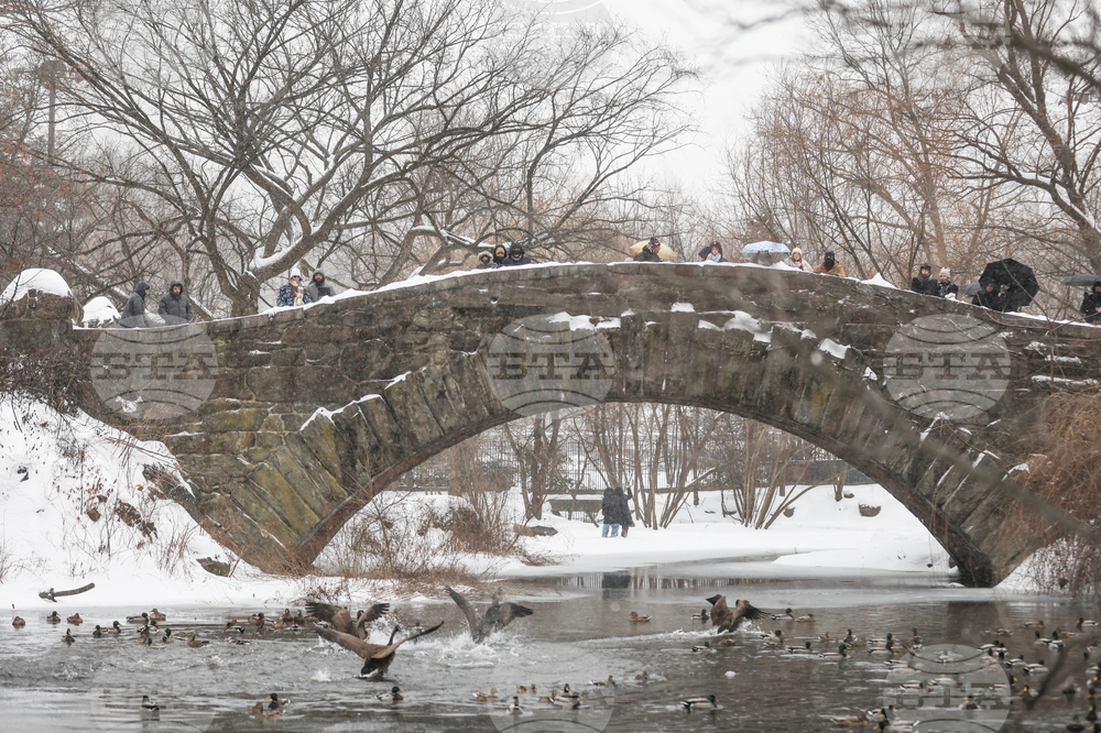 Winter Weather New York
