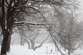 Winter Weather New York