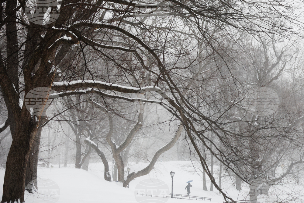 Winter Weather New York