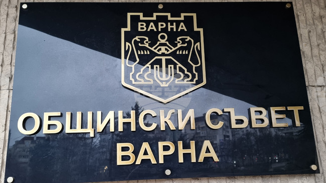 Общинският съвет във Варна решава дали в града ще бъде разкрит нов дневен център за деца с увреждания